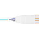 Marker Pen (Can Draw 2 Lines Simultaneously/Demon Slayer: Inosuke Hashibira/Light Blue x Brown/Sun Star/twiink/SMCol(s): Blue)