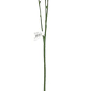 Artificial Plant (Spray/Green Leaf/48cm)