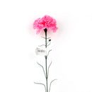 Carnation Artificial Flower
