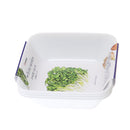 Plate (Cooking/Square/White/12x12x3.6cm (4pcs))