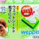 Personal Hygiene & First Aid