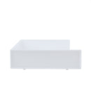 Desk Oganizer (Drawer Rack/Wide/16.6x23.6x4.7cm/SMCol(s): White)