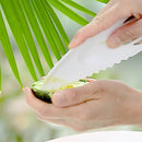 Avocado Cutter