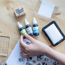 Shachihata Iro-zukuri first set Tammuz Works Tammuz Works HACUFS T / H