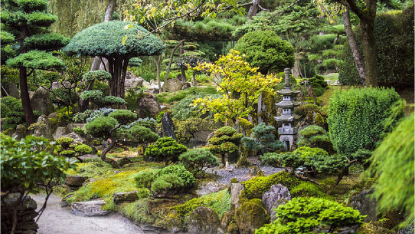 The Art of Japanese Gardening