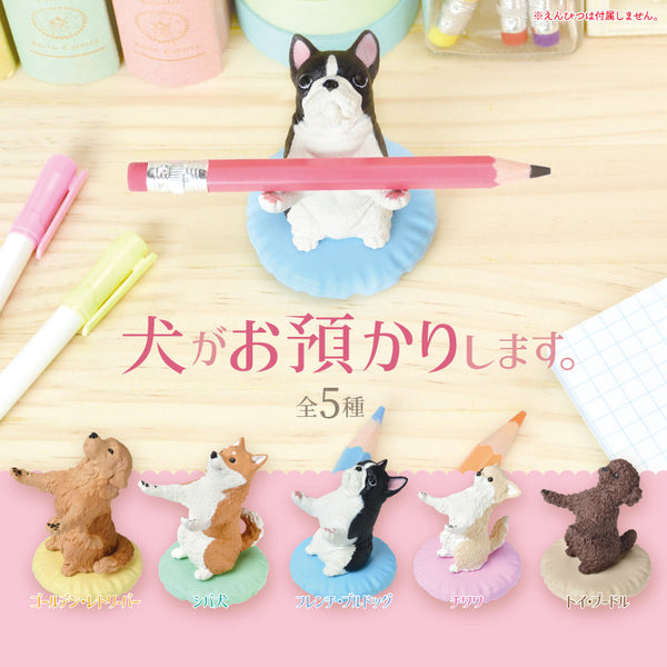 Blind Box