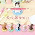 Blind Box