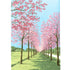 Noren Curtains & Rods