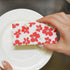 Cleaning Sponges