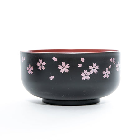 Japanese Lacquer & Plastic