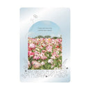 Ryuryu I hope you have rich, colorful days ahead. Flower Field Silver Foil Transparent Frame Greeting Card 