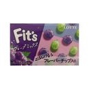 Lotte Fit's Gum Grape Mix 24.6 g