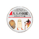 Kamio Otonano-Zukan Ancient Egypt Washi Masking Tape Individual Package