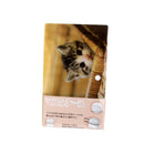 Double?Pocket Face Mask Case (Clean & Used Separation) – Pet Design