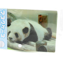 Double?Pocket Face Mask Case (Clean & Used Separation) – Animal Design