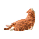 Ornament (Gacha Blind Box Figurine/Sleeoing Cat/Black: 4.8X5Cm, Persian: 4.5X5.5Cm, Scottish: 4.5X5.3Cm, Shorthair: 4.8X5.3Cm, Hachiware: 4.5X5.3Cm/7.2Cm/Yell/Smcol(S): White,Beige/Brown/Black/Whhite,Grey)