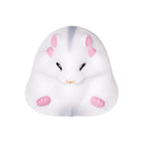 Ornament (Gacha Blind Box Figurine/Hamster/Djungarian Hamster: 5.5X5.2Cm, Kinkuma Hamster: 5.5X5.2Cm, Golden Hamster: 5.1X5.5Cm, Pearl White Hamster: 5.5X5.2Cm, Blue Sapphire Hamster: 5.7X5.2Cm, Pudding Hamster: 5.2X3Cm/Yell/Smcol(S): White,Brown/Beige/Wh