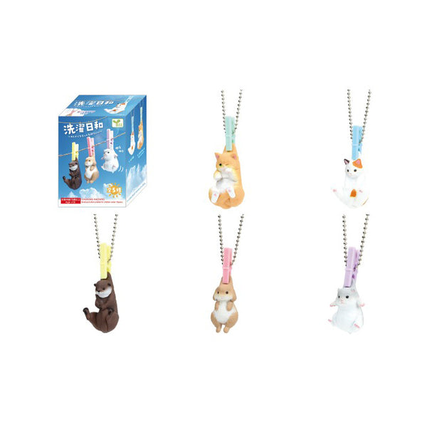 Blind Box