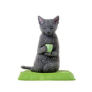 [Blind Box] Yell Heartwarming Day Cat 5cm Figurine
