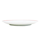 Japanese Porcelain Red Painting Plate