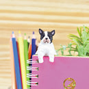 Collectible Dog Taking a Break Figurines Blind Box 