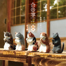 Gassho Takumi Cat Worship 5 Species (Norwegian Forest Cat, Exotic Shorthair, Calico, Scottish Fold, Russian Blue)