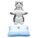 Collectible "The cat will take care of you" Figurines Blind Box