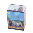 Collectible Relaxing Day Figurines Blind Box