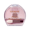 Canmake Plumpuku Coordinate Eyes Neo N02