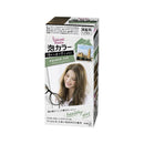 Kao Liese Bubble Hair Dye- British Ash 34ml + 66ml + 8G