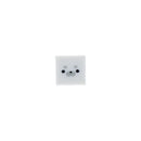 Sun-Star Sea Animal Eraser Earless Seal White  