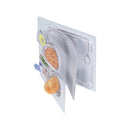 Sun-Star Kyushoku Fusen Die-Cut 6 Designs Wednesday: Pork & Beans Sticky Notes  60 Sheets