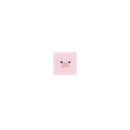 Sun Star Pig Face Cube Erasers