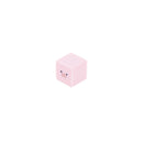 Sun Star Pig Face Cube Erasers
