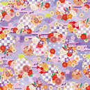 Toyo Chiyo Pattern With Instructions Origami Paper 010027
