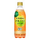 Pokka Sapporo Melon Soda 500ml