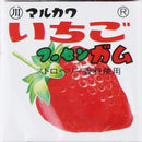 Fruit Mix Bubble Gum 3 Flavors 17g