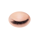 BONBORY Single Color Eye Shadow