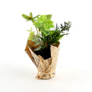 Artificial Herb Plant 16cm