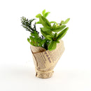 Artificial Herb Plant 16cm