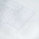 Grater (PS/With Handle/Slide to Squeeze Out Juice/Non-Slip/Temperture Resistance: -20? to 60?/25.2x9.5x5.5cm/Kokubo/SMCol(s): Clear)