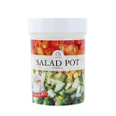 Kokubo Salad Container With Dressing Cup On Lid - 700ml Individual Package