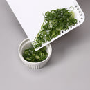 Cutting Board (PP/Guard On a Corner/Mini/1.5x17x21.5cm/SMCol(s): White)