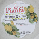 Grey Planter Saucer 2 Pieces (No.6)