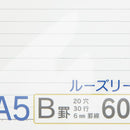 A5 20 Holes Ruled Line Refill Paper