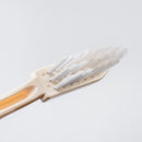 Multi-Purpose Brush (White)