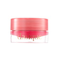 Dasique Fruity Lip Jam 