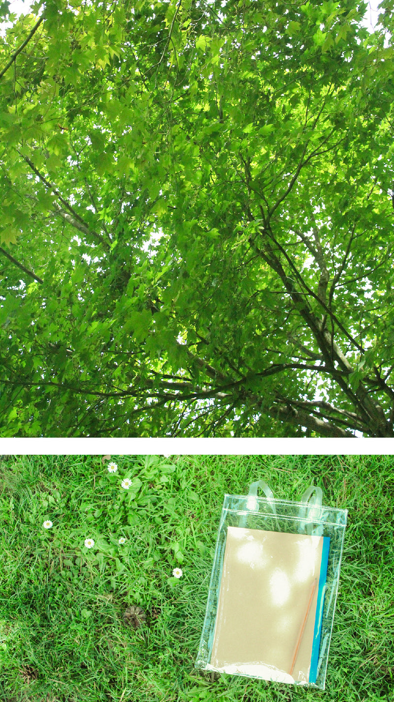 Forest Bathing with Oomomo