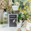 Vase (Glass/Type C/CL/19.5x4.5x8.2cm)