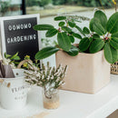 Fence (Wood/Bn/30X30Cm)